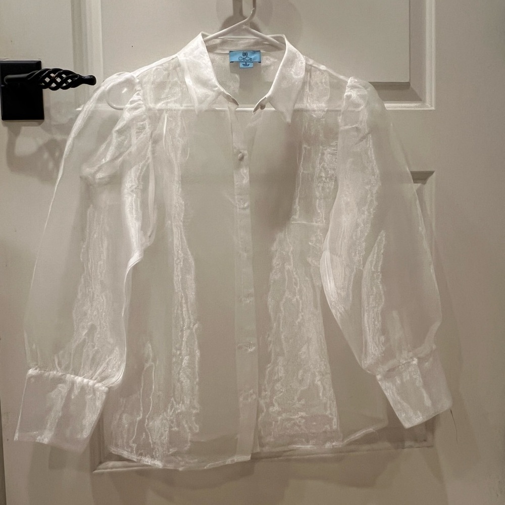Sheer White Button-Up Blouse